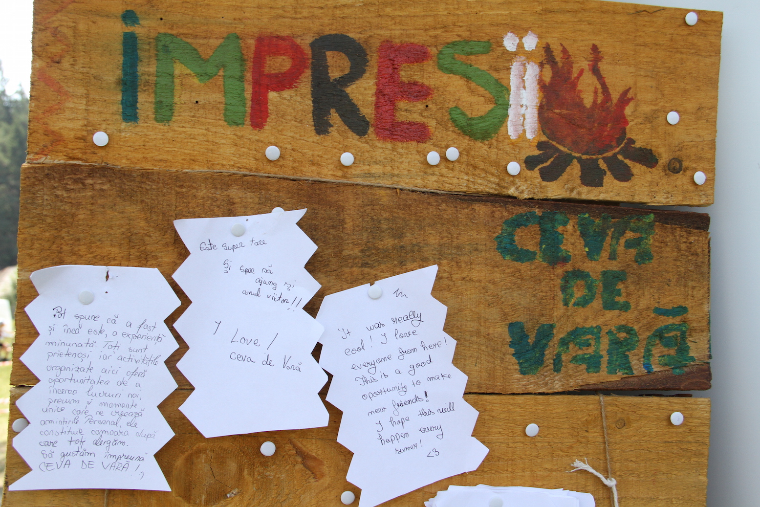 Impressions from the festival CEVA DE VARĂ, 18-19th of July 2015